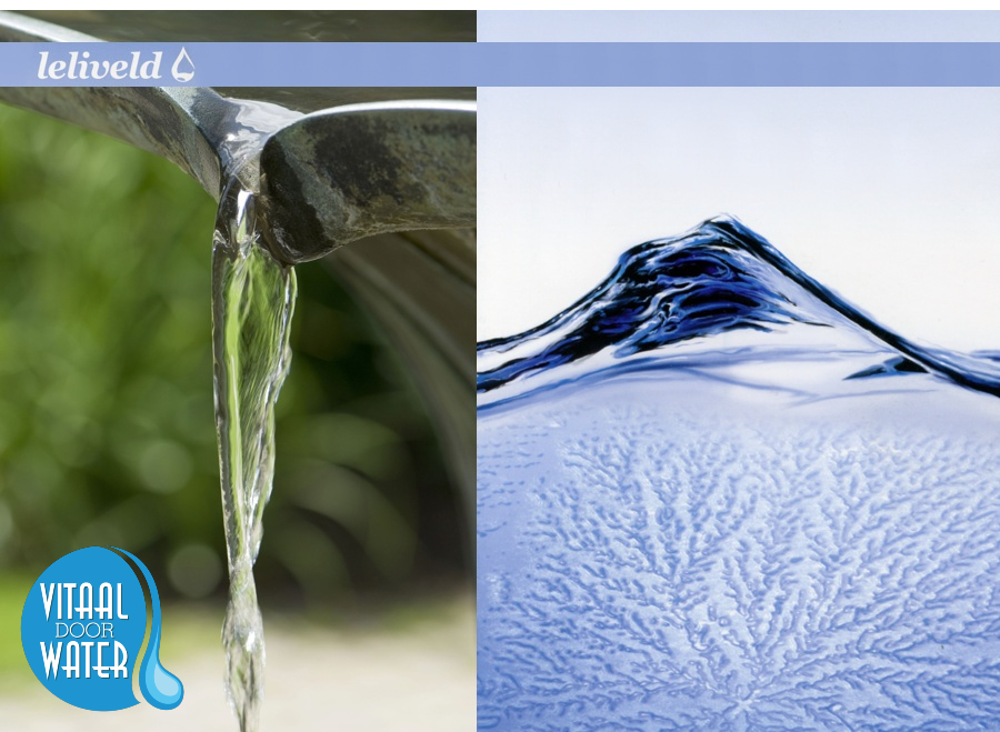 water vitaliser
