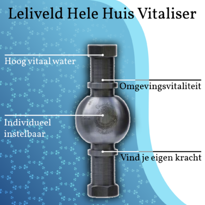 Witalizator Acqua Scettro Regolare