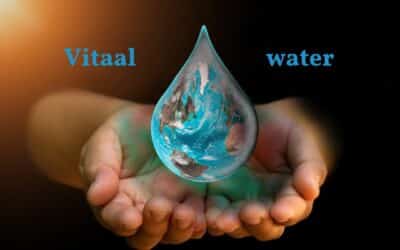 Vitaal water